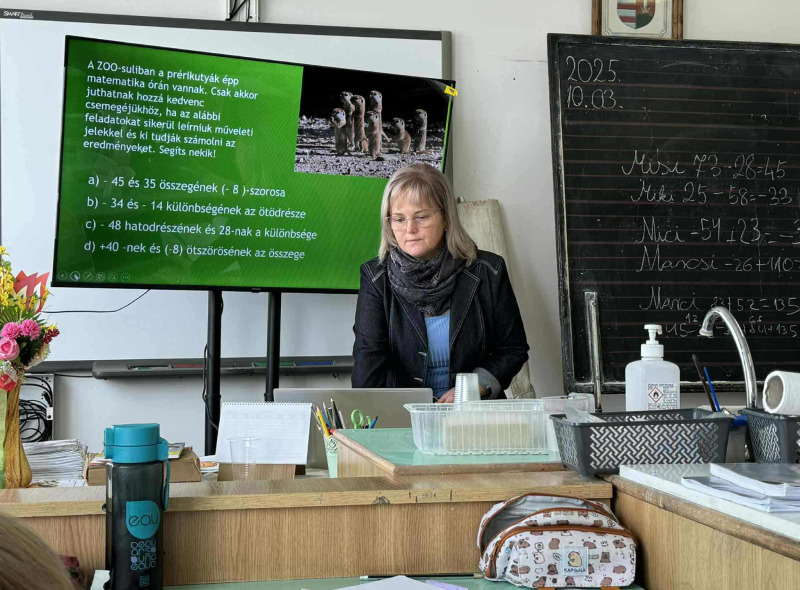 Állatok világnapja 2025 - felső tagozat